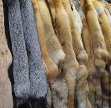 Про меха - что нужно знать!